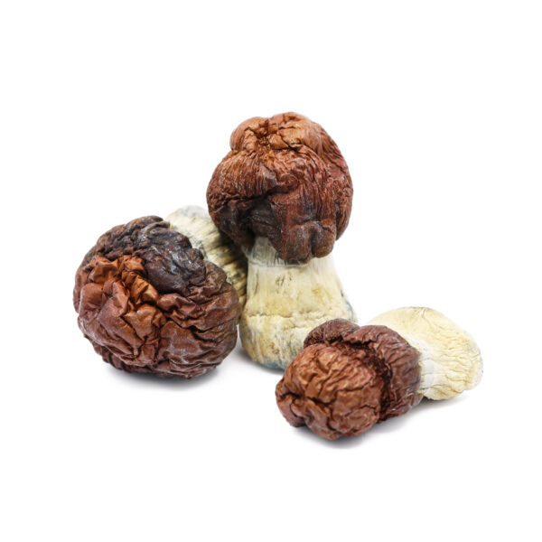 Buy Bluey vuitton magic mushrooms UK