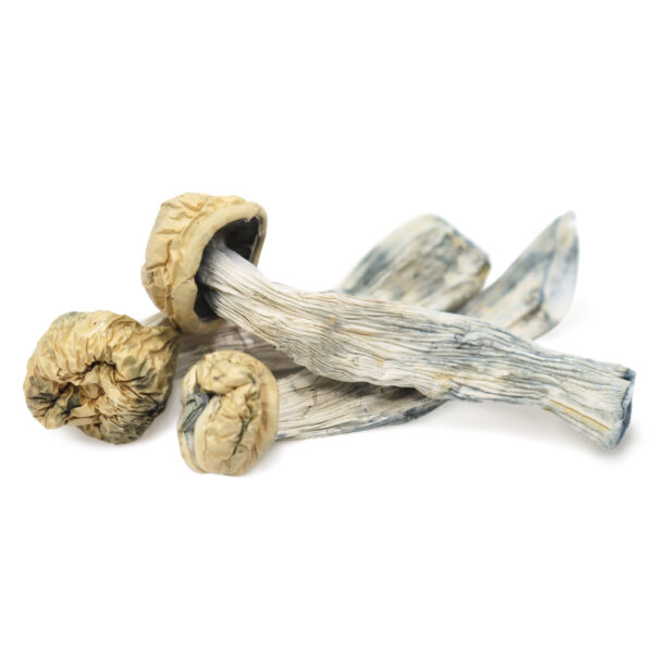 Buy Yeti magic mushrooms UK