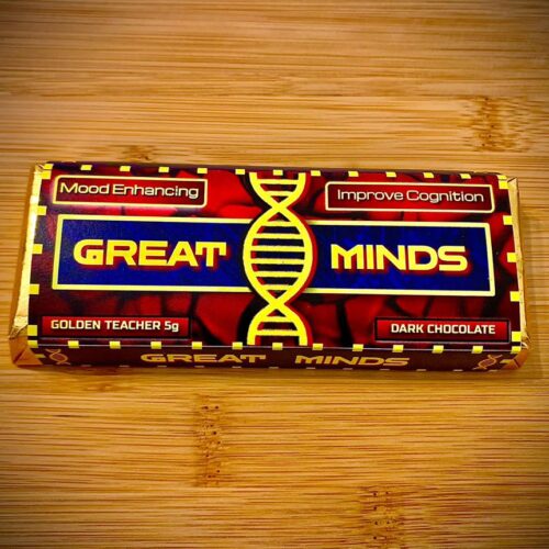 Great Minds Mushroom Chocolate Bars